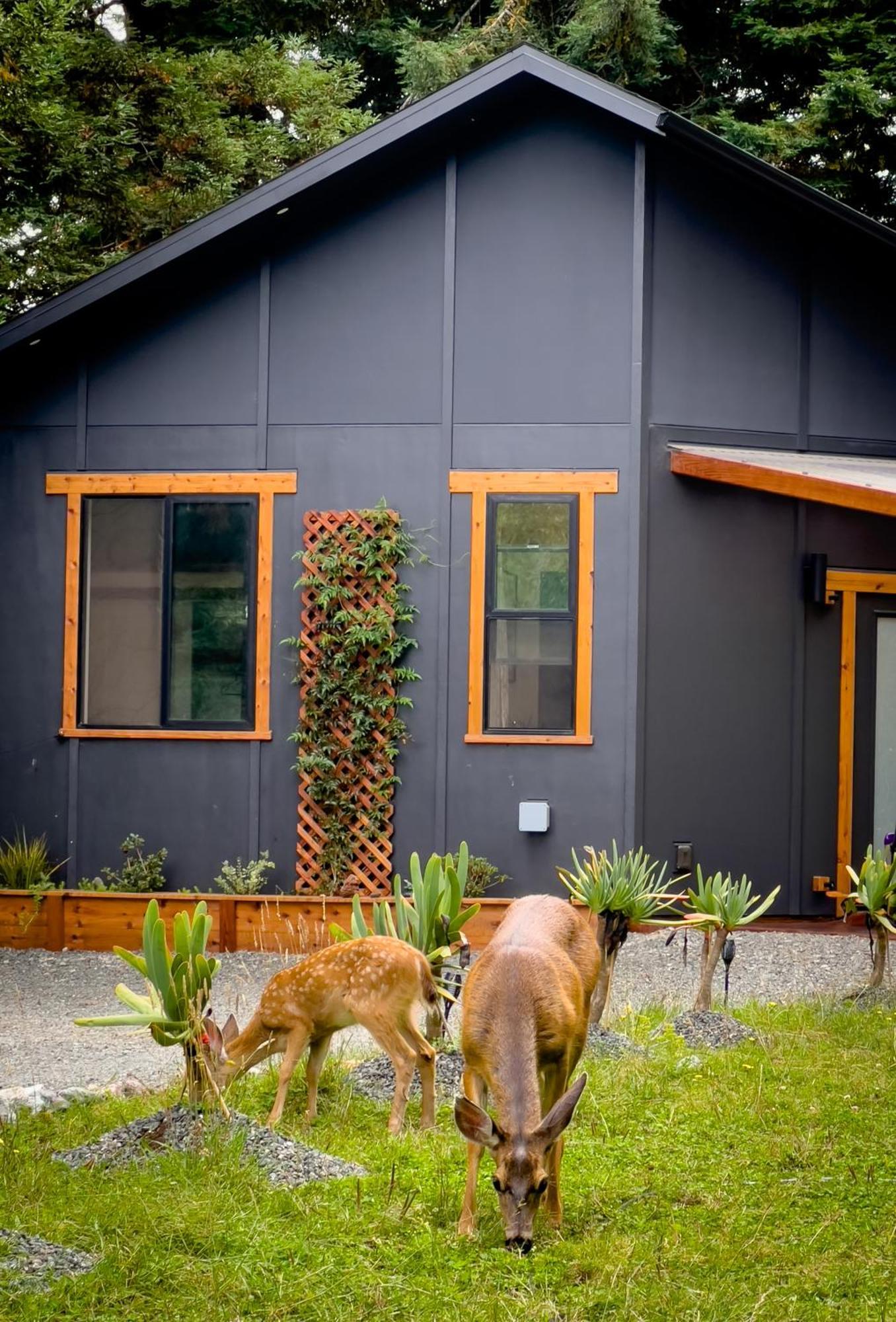 New, Modern, Country-Feel, Close To Arcata Buitenkant foto